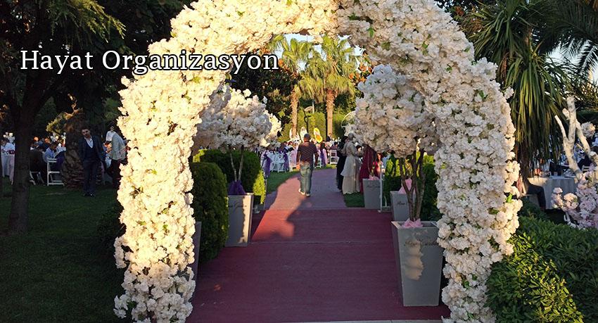 Betreward giriş yolları