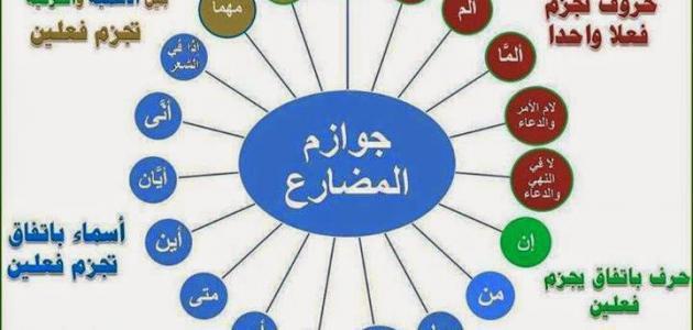 شرط تکی