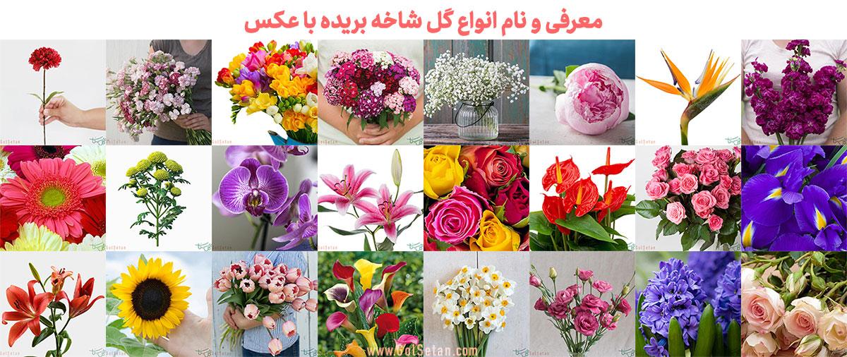 راهنمایی برای بازیکنان جوان برای بهبود مهارت در گلزنی